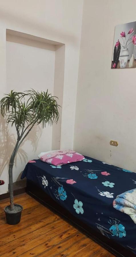 Grand Safari Hostel Kaherah Luaran gambar